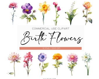 Watercolor Birth Month Flowers Clipart Bundle Digital Watercolor Birth Flower Clipart Watercolor Floral Clipart Flower Png Commercial Use