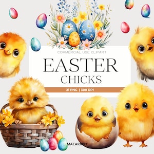 Pollito de Pascua Clipart Lindos Pollitos Bebé Cesta de Pascua Clipart Pascua Acuarela Png Huevos de Pascua Pollito de Pascua PNG Tarjeta Haciendo Scrapbook