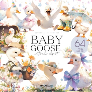 Spring Baby Goose Clipart, Silly Goose Clipart, Cute Baby Goose, Watercolor Goose With Flowers, Baby Shower, Birthday Party, Balloon, Bird