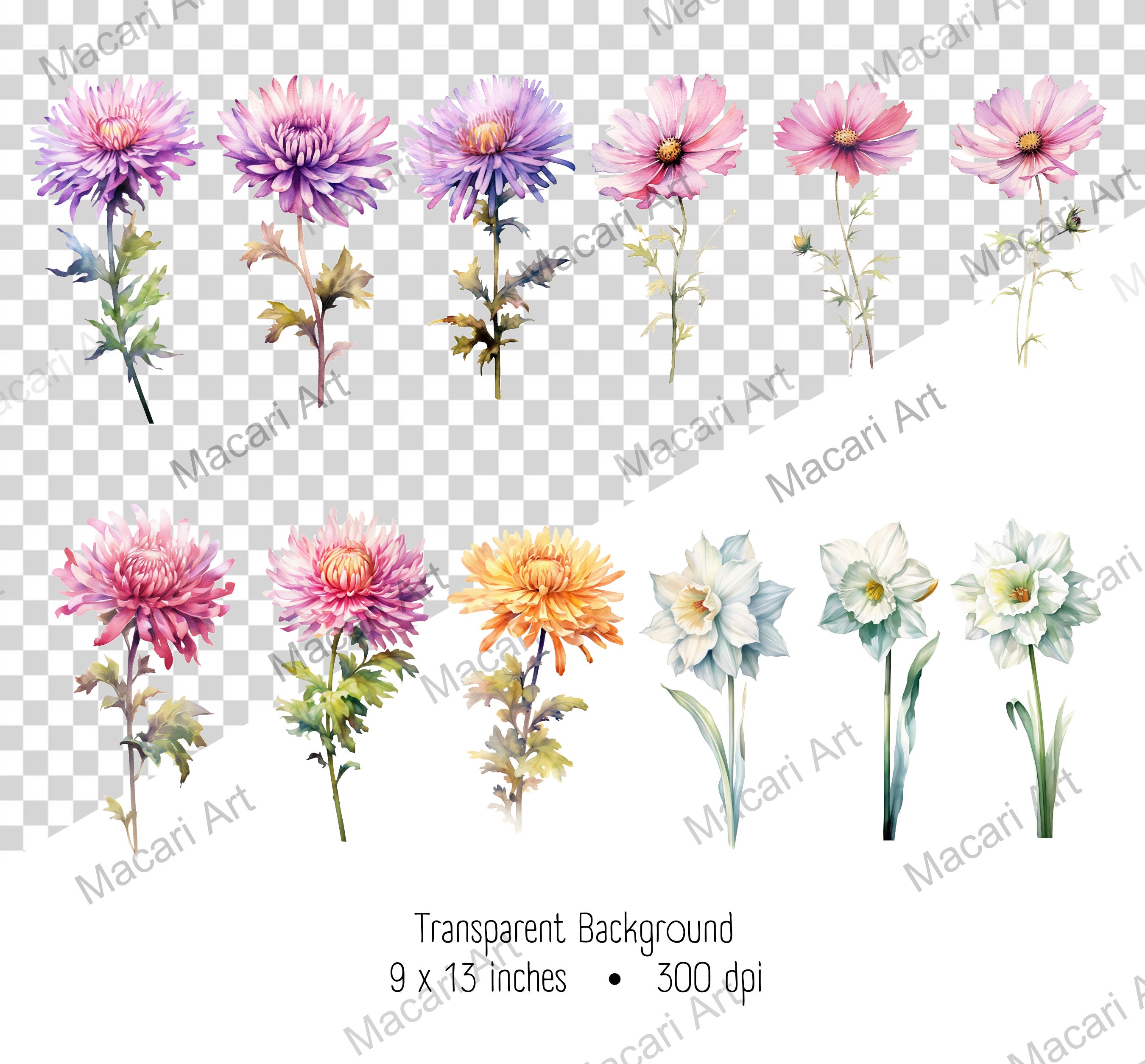 Watercolor Birth Month Flowers Clipart Bundle Digital Watercolor Birth