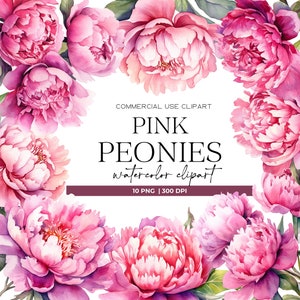 Peonia rosa acquerello Clipart eleganti fiori Boho matrimonio romantico floreale Clipart fiori dell'acquerello Png floreale Clipart peonia Png