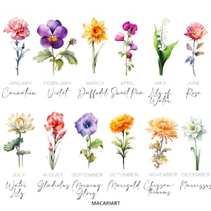 May include: A watercolour illustration of twelve flowers, each representing a month of the year. The flowers are carnation, violet, daffodil, sweet pea, lily of the valley, rose, water lily, gladiolus, morning glory, marigold, chrysanthemum, and narcissus. Text below each flower indicates the month and flower name.