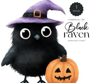 Cute Raven And Pumpkin Clipart Watercolor Witches Raven Png Black Raven Halloween Animals Crow Clipart Spooky Halloween Png Bird Clipart