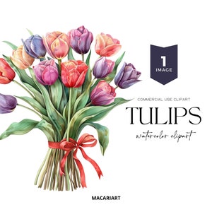 Watercolor Tulip Bouquet Clipart Spring Tulips Floral Clipart Watercolor Flower Clipart Pink Tulip Watercolor Floral Clipart Png Wedding