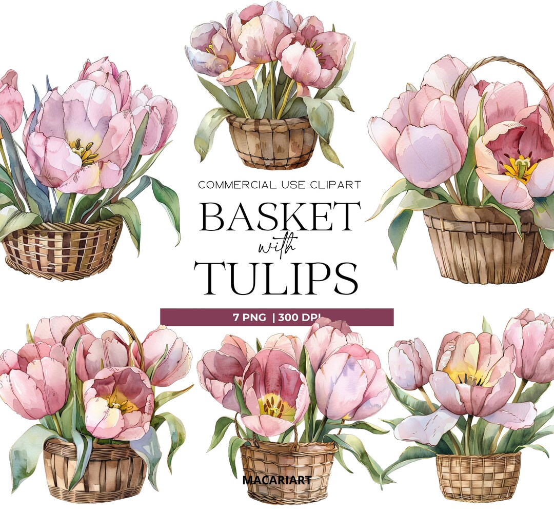 Watercolor Tulip Basket Clipart Tulip Png basket With Flowers Clipart ...