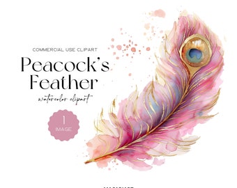 Pink Peacock Feather Clipart Watercolor Colorful Feathers Bird Clip Art Gorgeous Peacock Clipart Digital Download Peacock Png Commercial Use