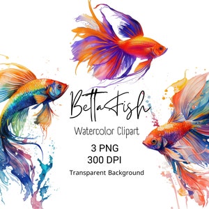 Watercolor Betta Fish Clipart Digital Clipart Fish Wall Decor Watercolor Fish Wall Art Printable Instant Download Clipart Bundle Popular PNG