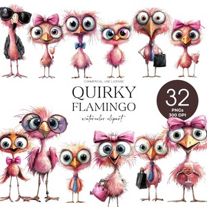 Schrulliger Flamingo Clipart Lustiger Pinker Flamingo Png schrullig Vogel Clipart verrückter Vogel wunderliche Flamingos Clipart Vögel Png digitales Papiermodell