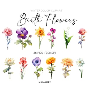 Paquete de imágenes prediseñadas de flores del mes de nacimiento en acuarela Imágenes prediseñadas de flores de nacimiento en acuarela digitales Imágenes prediseñadas de flores en acuarela Png Uso comercial