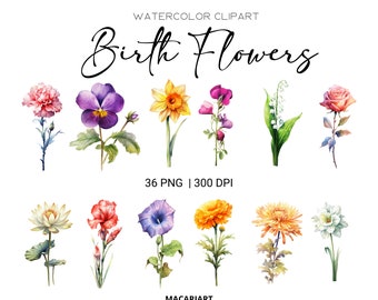 Watercolor Birth Month Flowers Clipart Bundle Digital Watercolor Birth Flower Clipart Watercolor Floral Clipart Flower Png Commercial Use