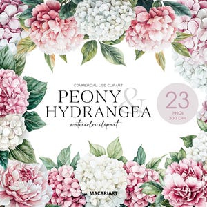 Aquarell Pfingstrose und Hortensie Clipart, Rosa Pfingstrose Clipart, Weiß Rosa Hortensie Clipart, Frühling Blumen Clipart, Blumenhochzeits-Einladung