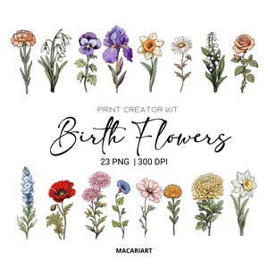 Aquarel geboortemaand bloemen clipartbundel digitale aquarel geboorte bloem clipart aquarel bloemen clipart bloem png commercieel gebruik