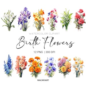 Aquarela Mês De Nascimento Flores Clipart Pacote Digital Aquarela Nascimento Flor Clipart Aquarela Floral Clipart Flor Png Uso Comercial