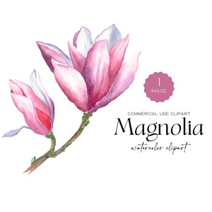 Watercolor Pink Magnolia Flower Clipart Pink Floral Wedding Clip Art Watercolor Floral Clipart Png Wedding Invitation Spring Clipart Digital