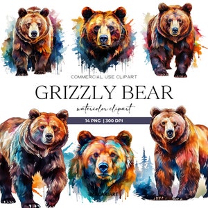 Grizzly Bear Clipart Bear Mountains Png Bear Sublimation Png Bear Silhouette Wildlife Art Wild Animal Clipart Animal Print Commercial Use
