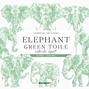 Toile groene olifant clipart aquarel chinoiserie toile de jouy jungle dieren safari toile salie groene clipart babyshower olifant png