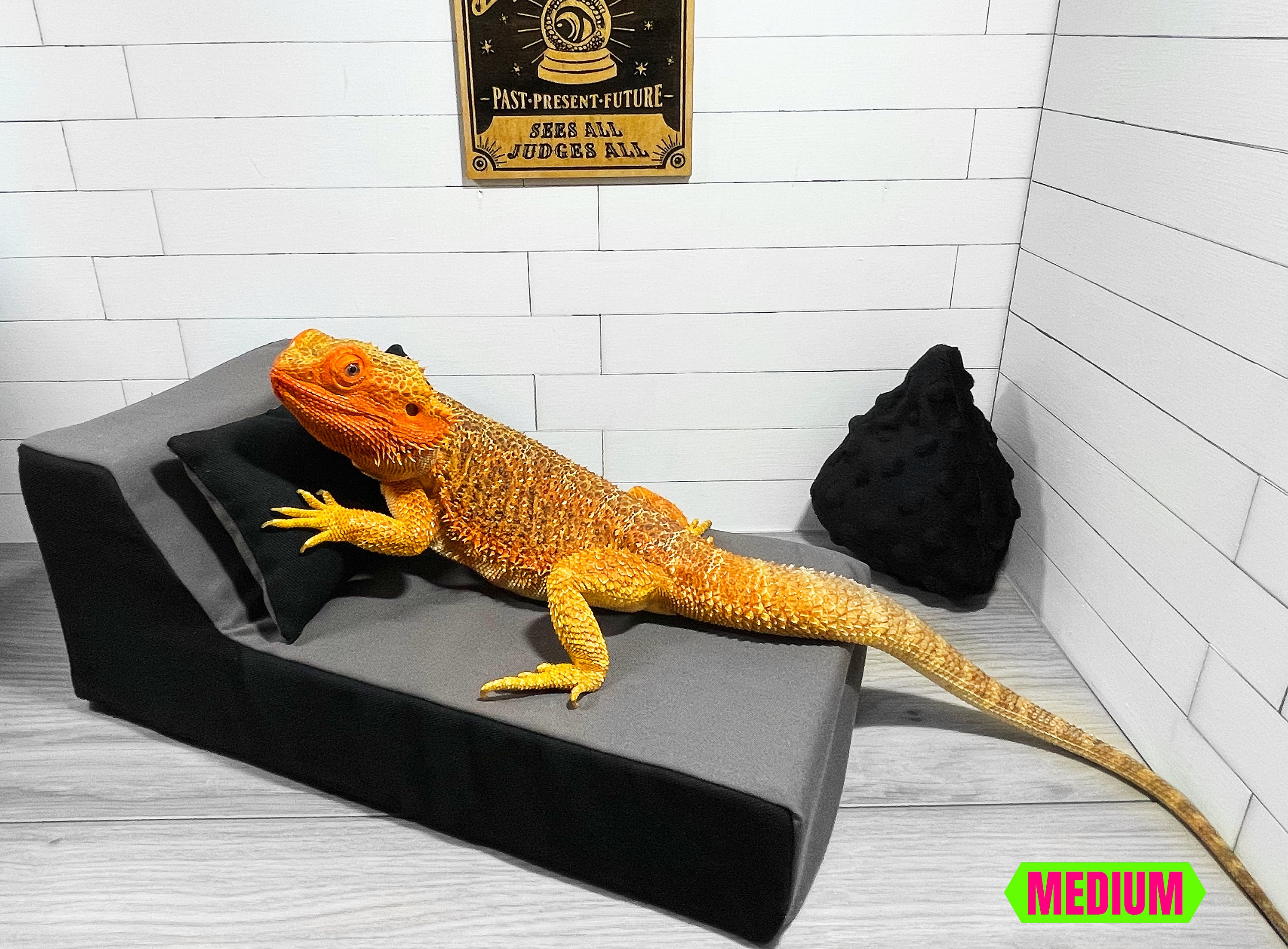 Bearded Dragon Car Pillow With Suction Cups, Lizard Travel Lounge 