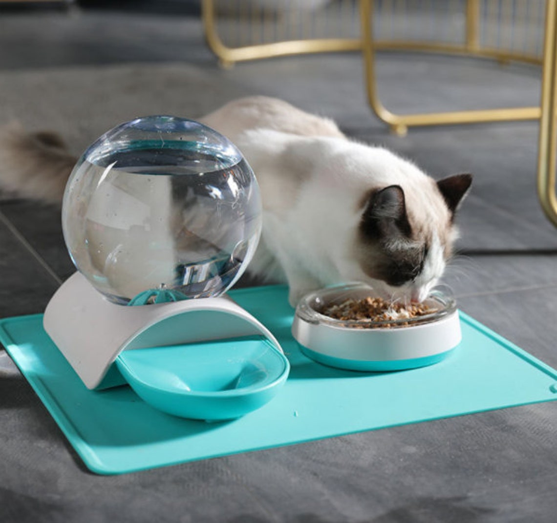 Automatic Bubble Water Dispenser for Cat Gravity Waterer Bowl Etsy