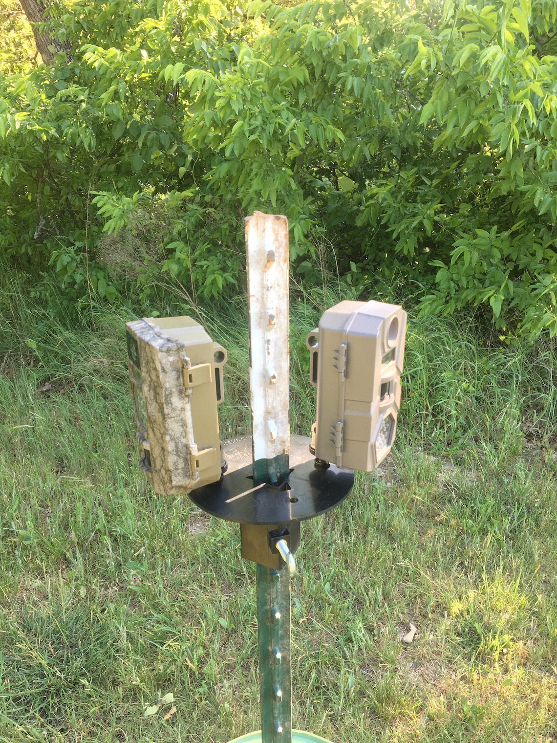 TPOST CAMERA MOUNT Etsy
