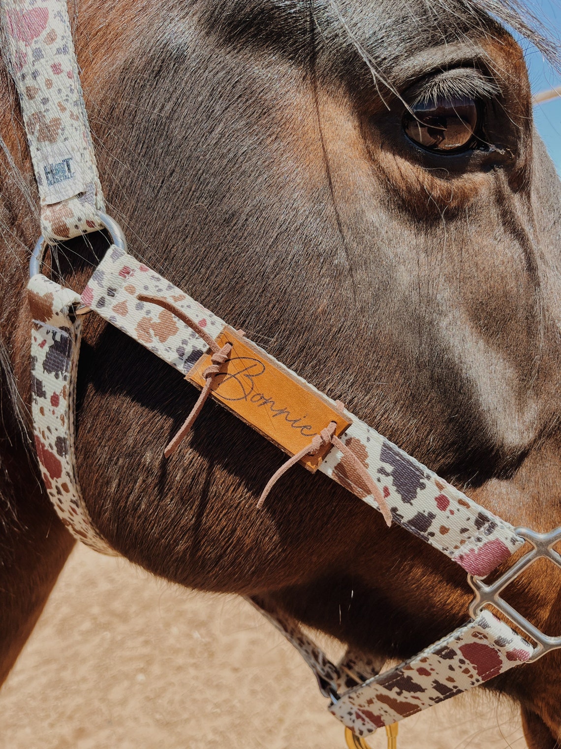 Custom Leather Horse Halter Name Plate Halter Name Tag Etsy