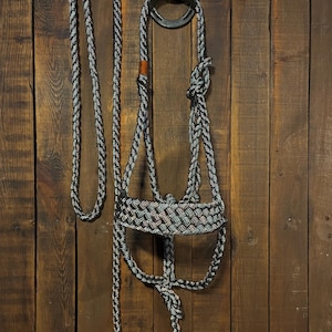 May include: A black and white braided rope halter with a matching lead rope. The halter features a wide, flat-woven noseband with a multi-colored pattern and a small brown leather accent tag. The entire set is constructed from thick, durable cord.