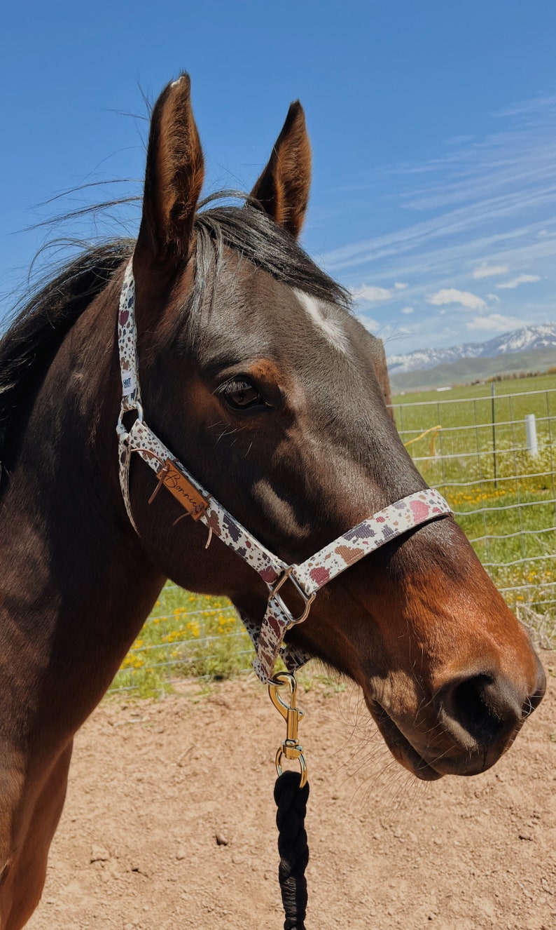 Custom Leather Horse Halter Name Plate Halter Name Tag Etsy