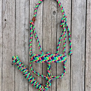 Neon Mule Tape Horse Halter | Turquoise, Purple, Neon Green, Neon Pink