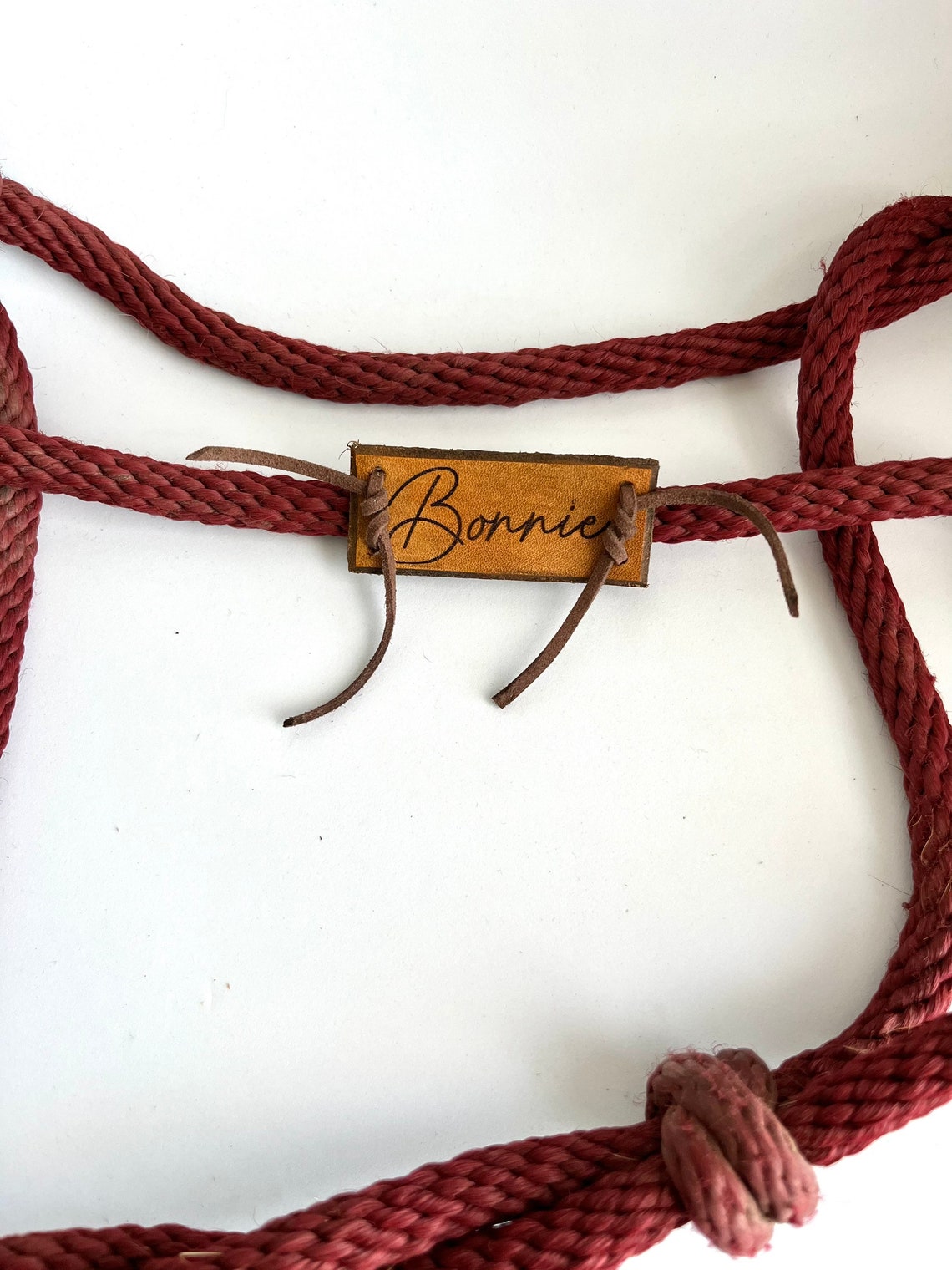 Custom Leather Horse Halter Name Plate Halter Name Tag Etsy