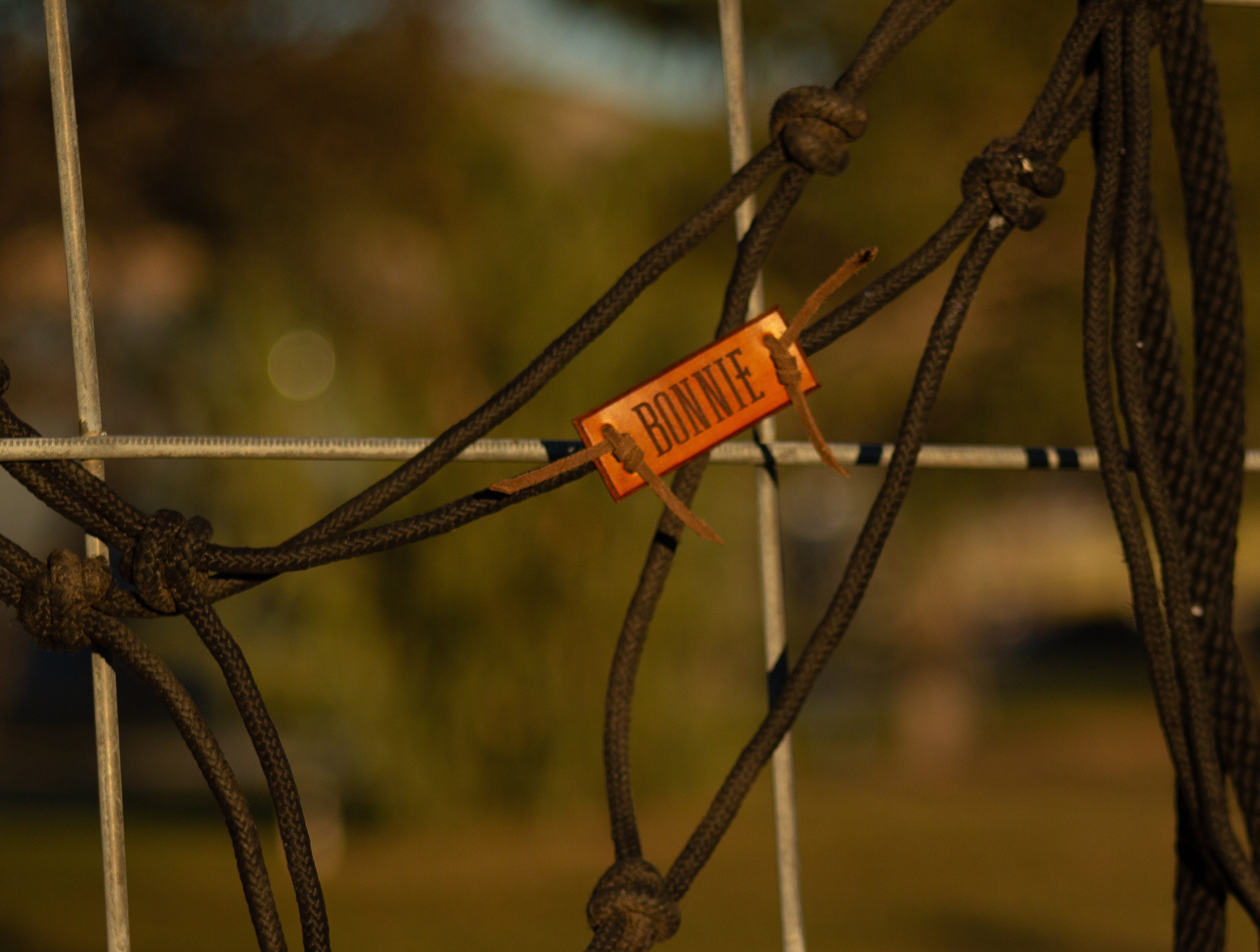 Custom Leather Horse Halter Name Plate Halter Name Tag Etsy