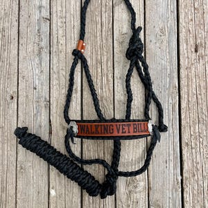 Cabestro para caballos Walking Vet Bill Mule Tape / Cabestro negro con conchos