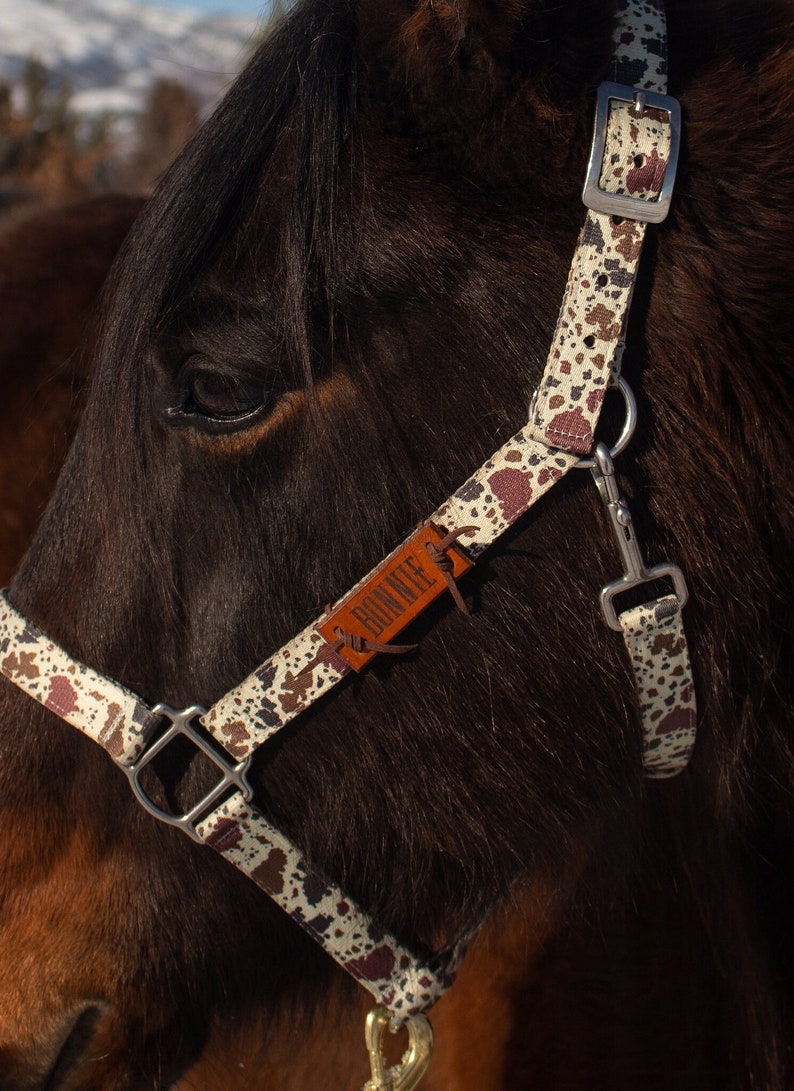 Custom Leather Horse Halter Name Plate Halter Name Tag Etsy