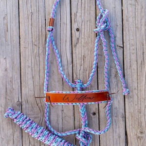 Puede incluir: Un cabezada de cuerda trenzada azul y morada con una bozal de cuero marrón y una placa de nombre que dice "Willow".