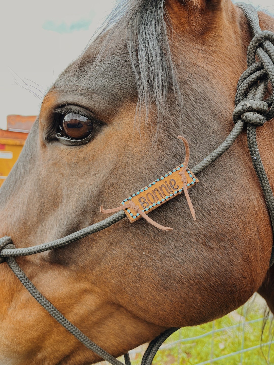 Horse Halter Name Tag Beaded ID Tag Customized Name Plate Etsy