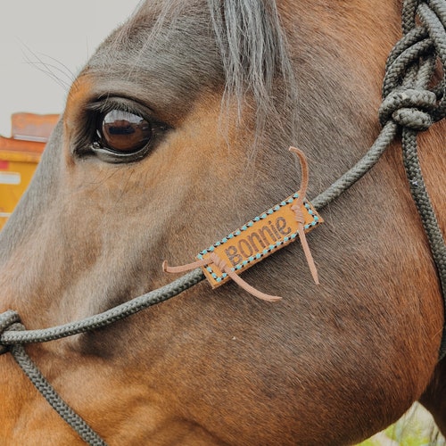 Horse Halter Name Tag Beaded ID Tag Customized Name Plate Etsy