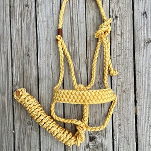 Peut inclure: Un licol de cheval en corde jaune avec une longe assortie, présenté sur une surface en bois vieilli. Le licol présente un frontal et une têtière tressés, avec un accent en cuir. La longe est enroulée et attachée au licol.