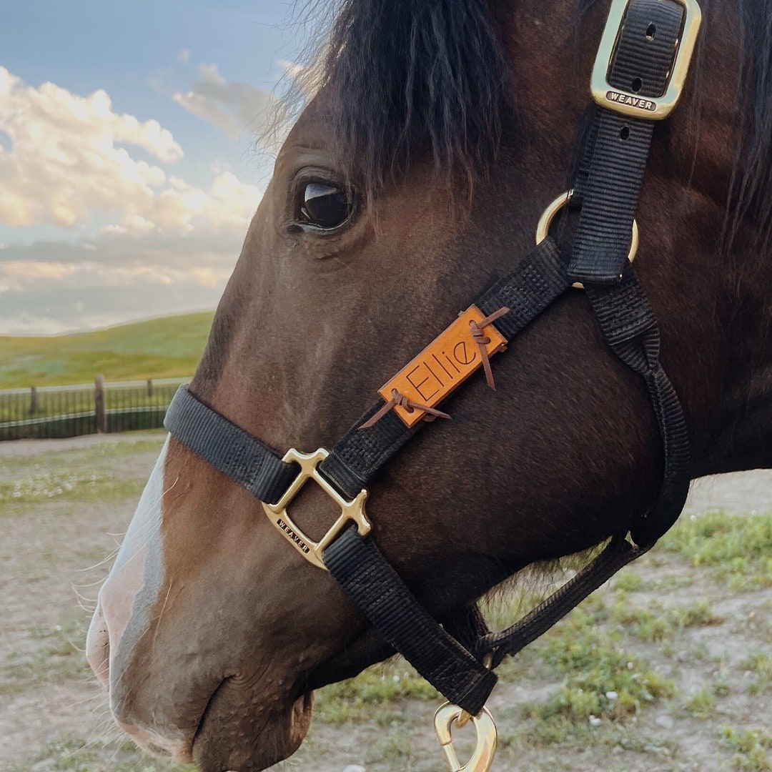 Custom Leather Horse Halter Name Plate Halter Name Tag Etsy