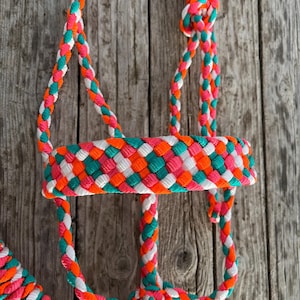 Mule Tape Horse Halter | Turquoise, Neon Pink, Neon Orange and White