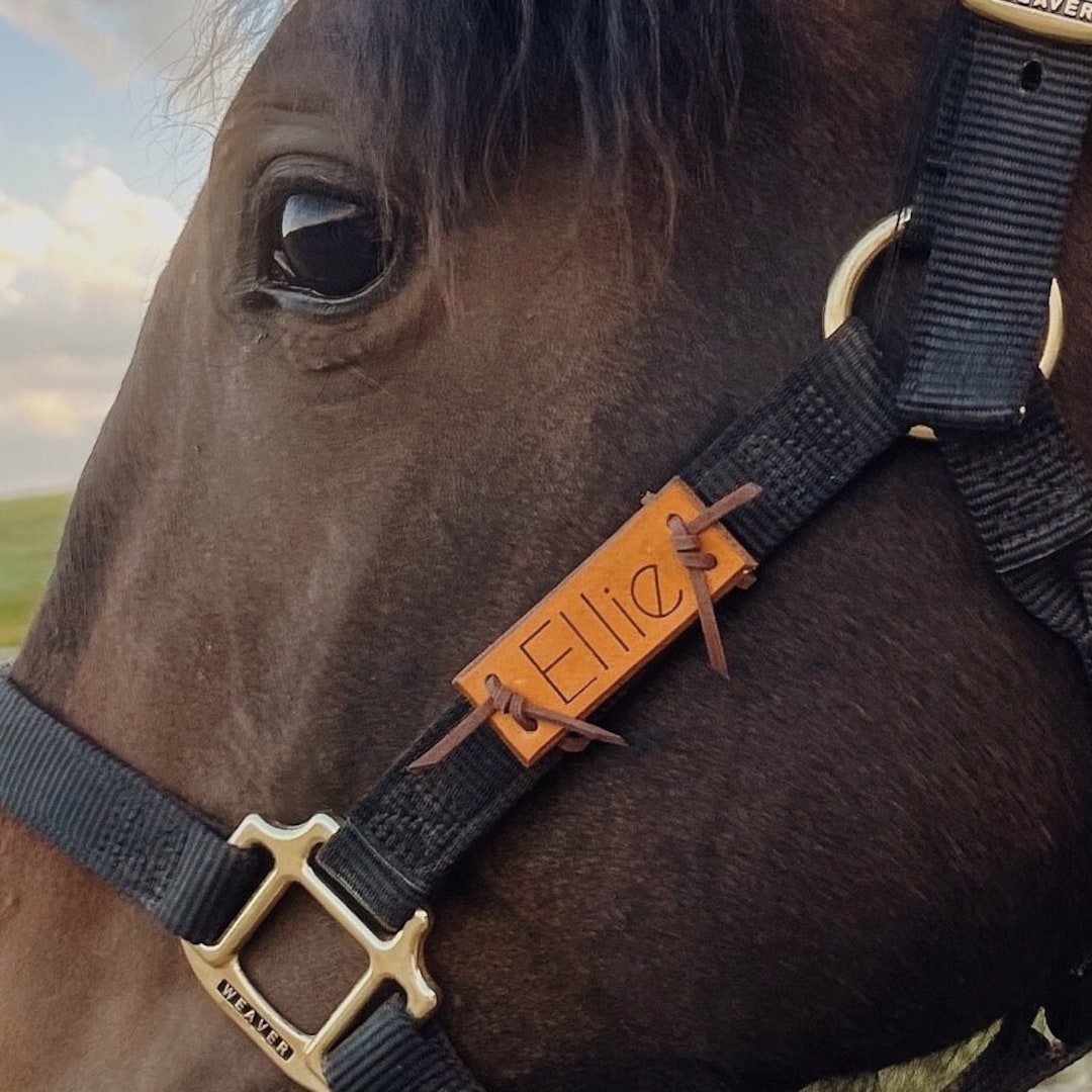 Custom Leather Horse Halter Name Plate Halter Name Tag Etsy