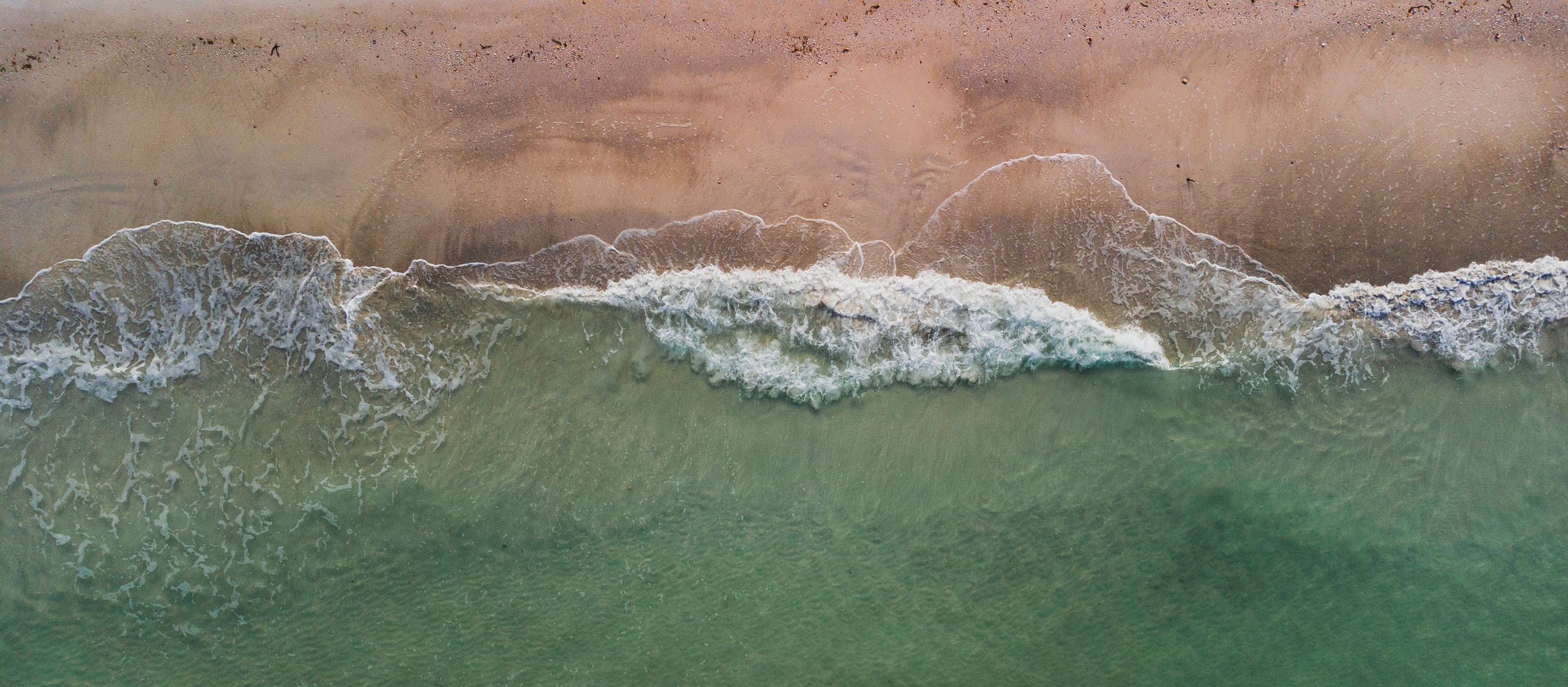 What Did The Ocean Say To The Beach Etsy