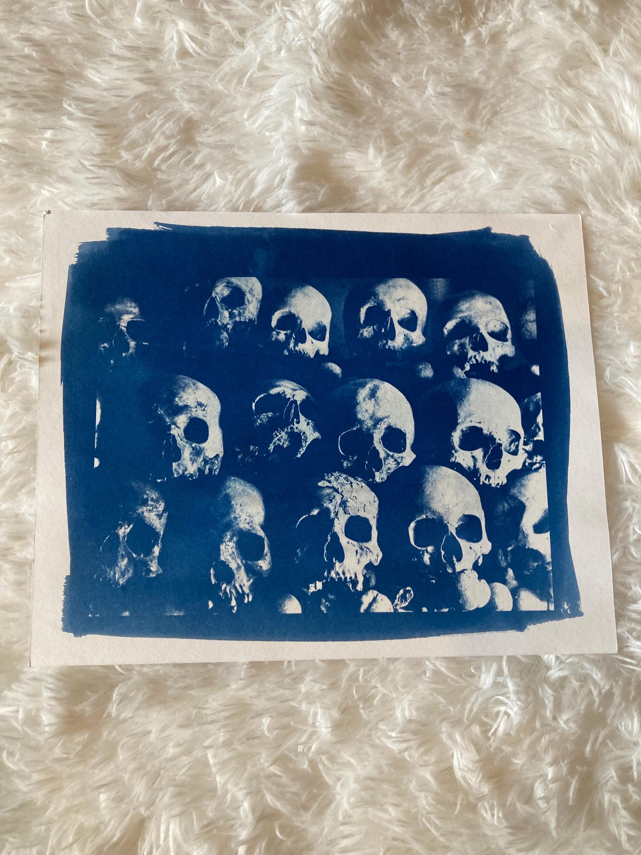 Memento Mori - Skulls - Original Cyanotype, Hand Printed, Two Sizes Available, Unframed