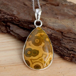 May include: A teardrop-shaped pendant with a silver chain. The pendant features a brown and yellow stone with a swirling pattern.