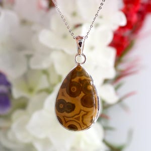 May include: A silver chain necklace with a teardrop-shaped pendant featuring a brown and black agate stone with a swirling pattern.