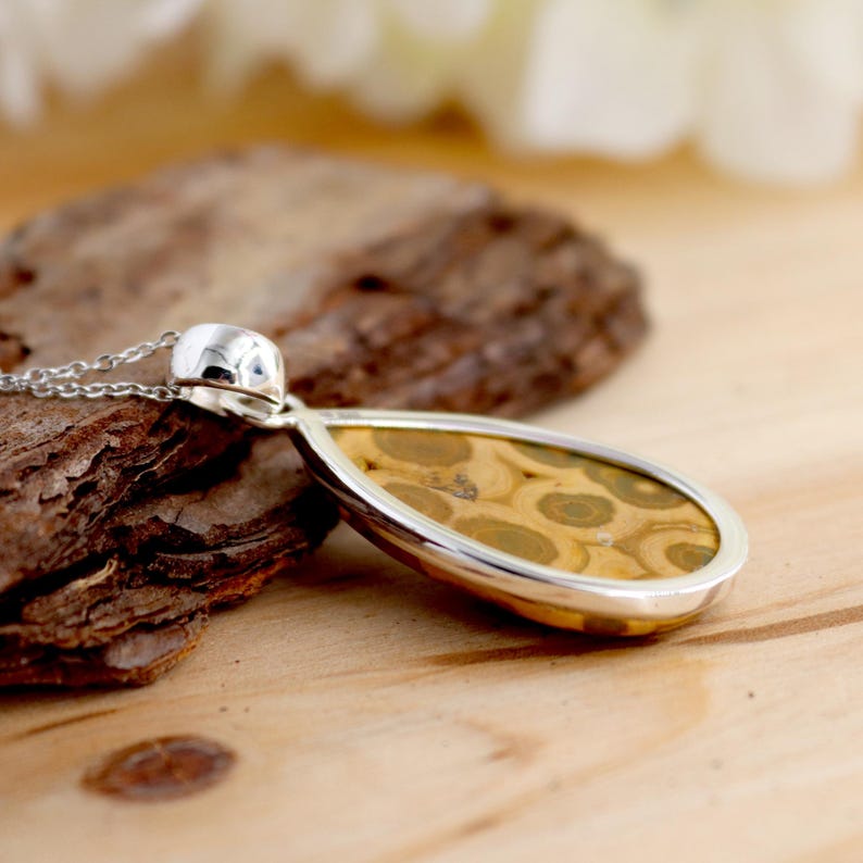 May include: A teardrop-shaped pendant with a brown and gold agate stone set in sterling silver. The pendant is hanging from a silver chain.