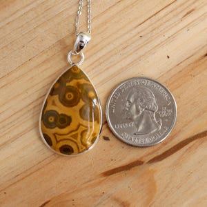 May include: A teardrop-shaped pendant with a brown and gold patterned stone set in silver. The pendant is about the size of a US quarter.