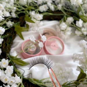 JOLIE Lashes