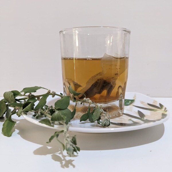 Herbal Tea bags| Natural Polpala| Hygrophila Schlli & Aerva lanata