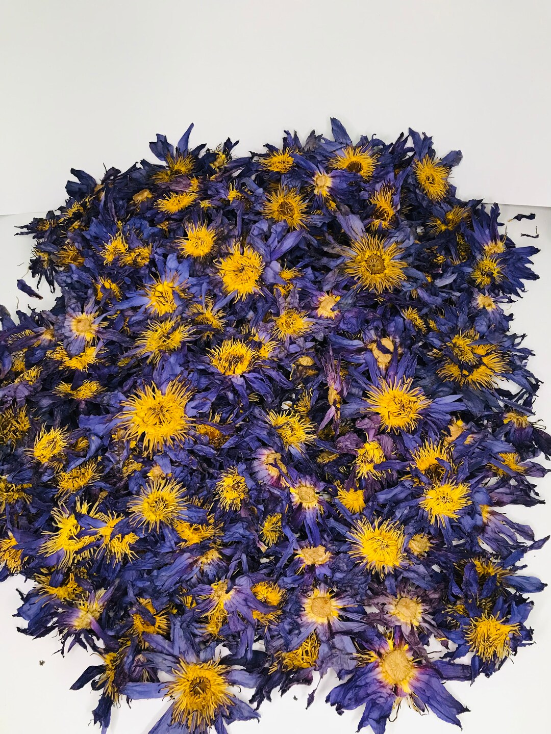 Premium Organic Dried Blue Lotus Flowers Blue Tea Herbal Etsy