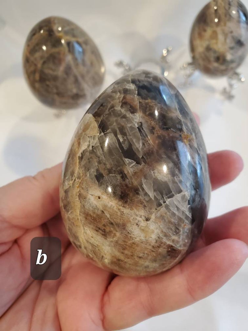 Black Moonstone Eggs Etsy