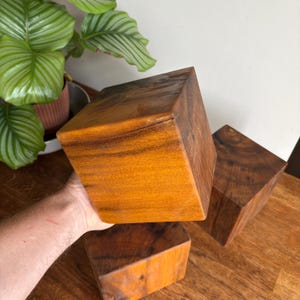 May include: Three solid wooden cubes with a smooth, polished finish. Each cube displays a distinct natural grain pattern in shades of medium to dark brown. The cubes are geometric in shape with sharp, clean edges and a consistent, uniform appearance.