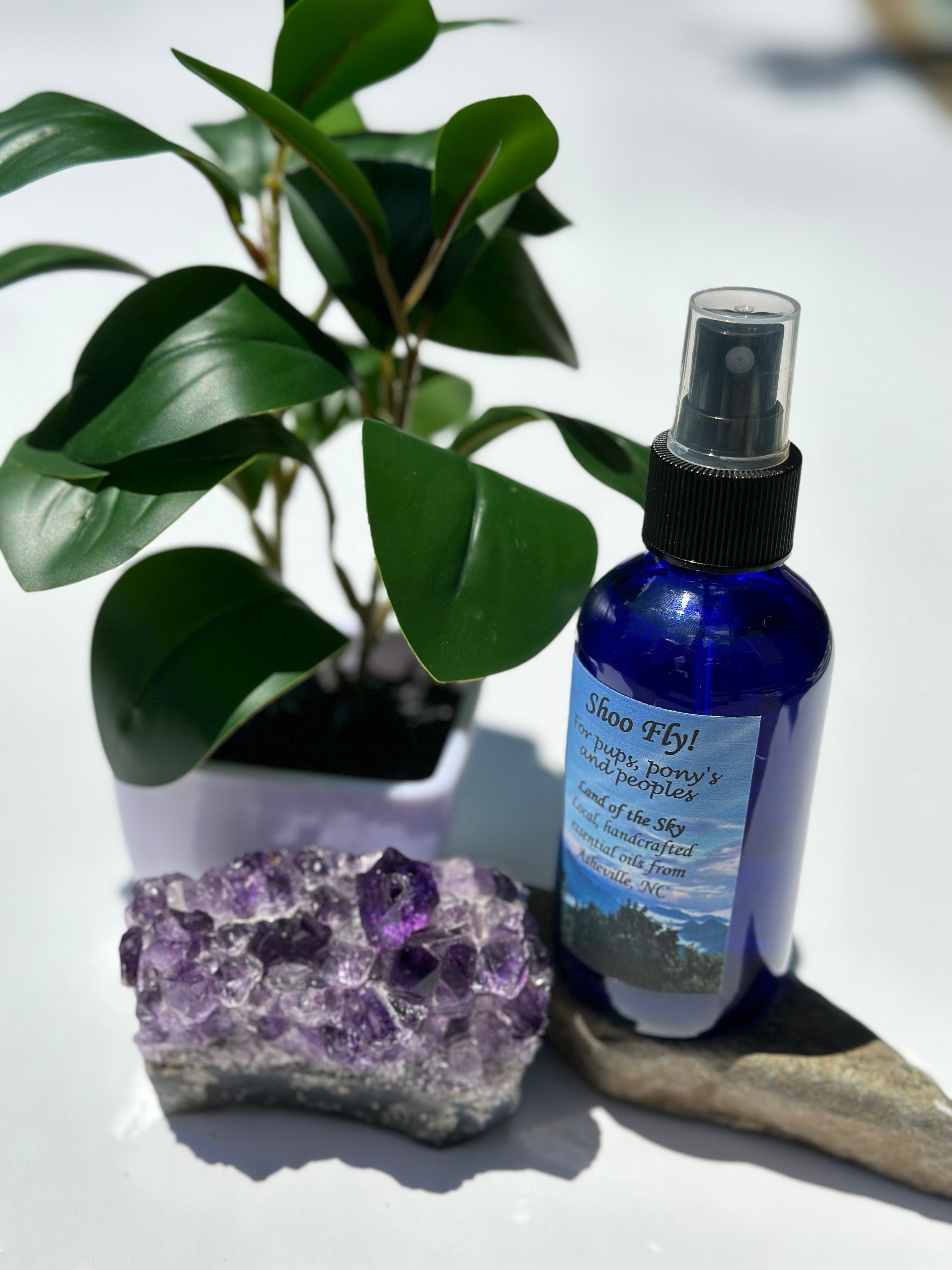 Shoo fly spray for dogs top
